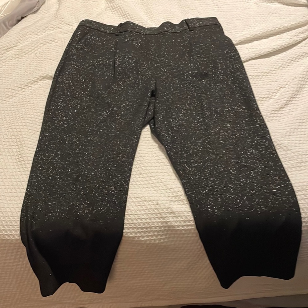Loft XXL pull on ankle pant is black and silver.
